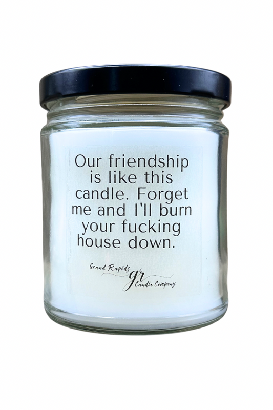 Our Friendship Candle Burn Your House Down. 9oz Soy Blend Candle