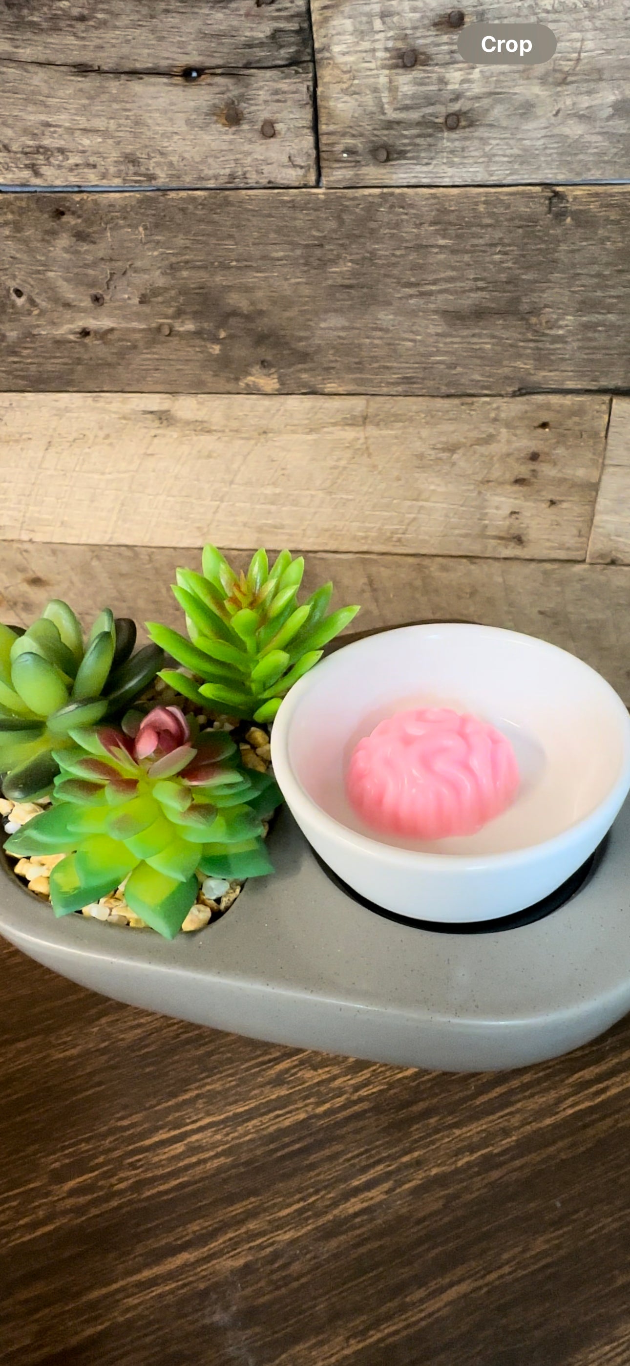 Brain Shaped Oozing Premium Wax Melt Spooky Halloween Fragrance Tart