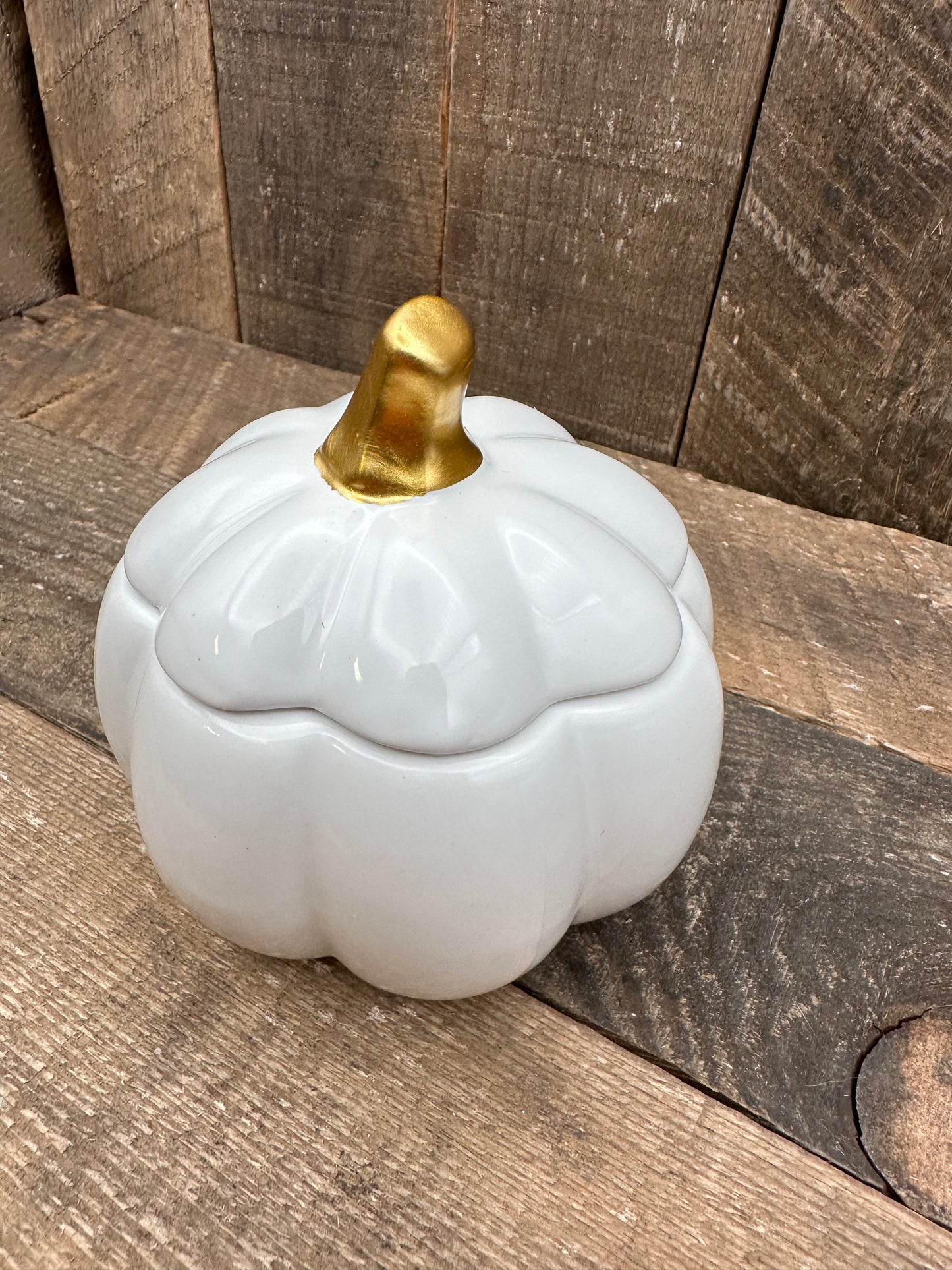 White Pumpkin Candle Fall Halloween 9 ounce Soy Blend