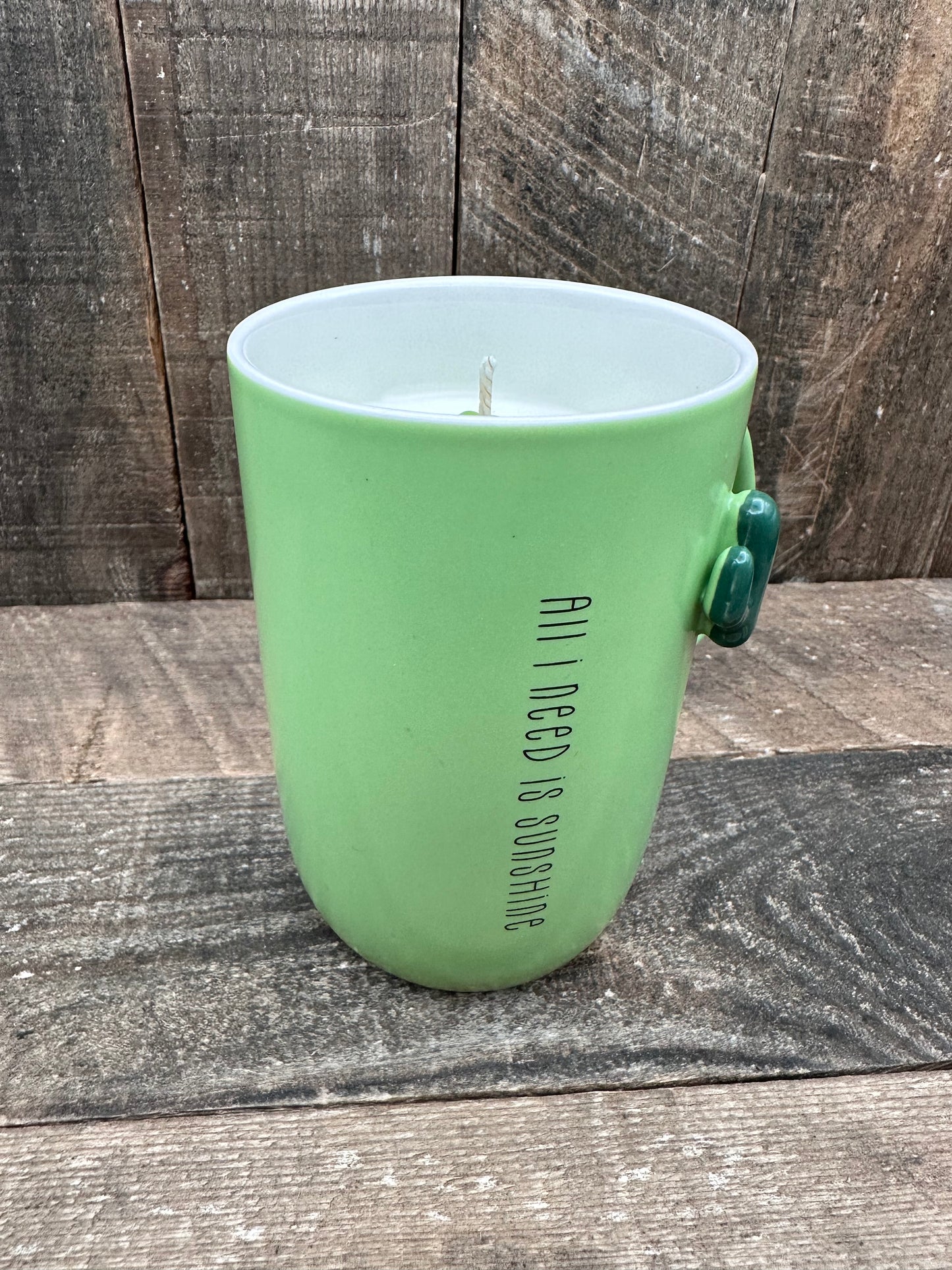 Cactus All I Need Is Sunshine Reclaimed Coffee mug candle