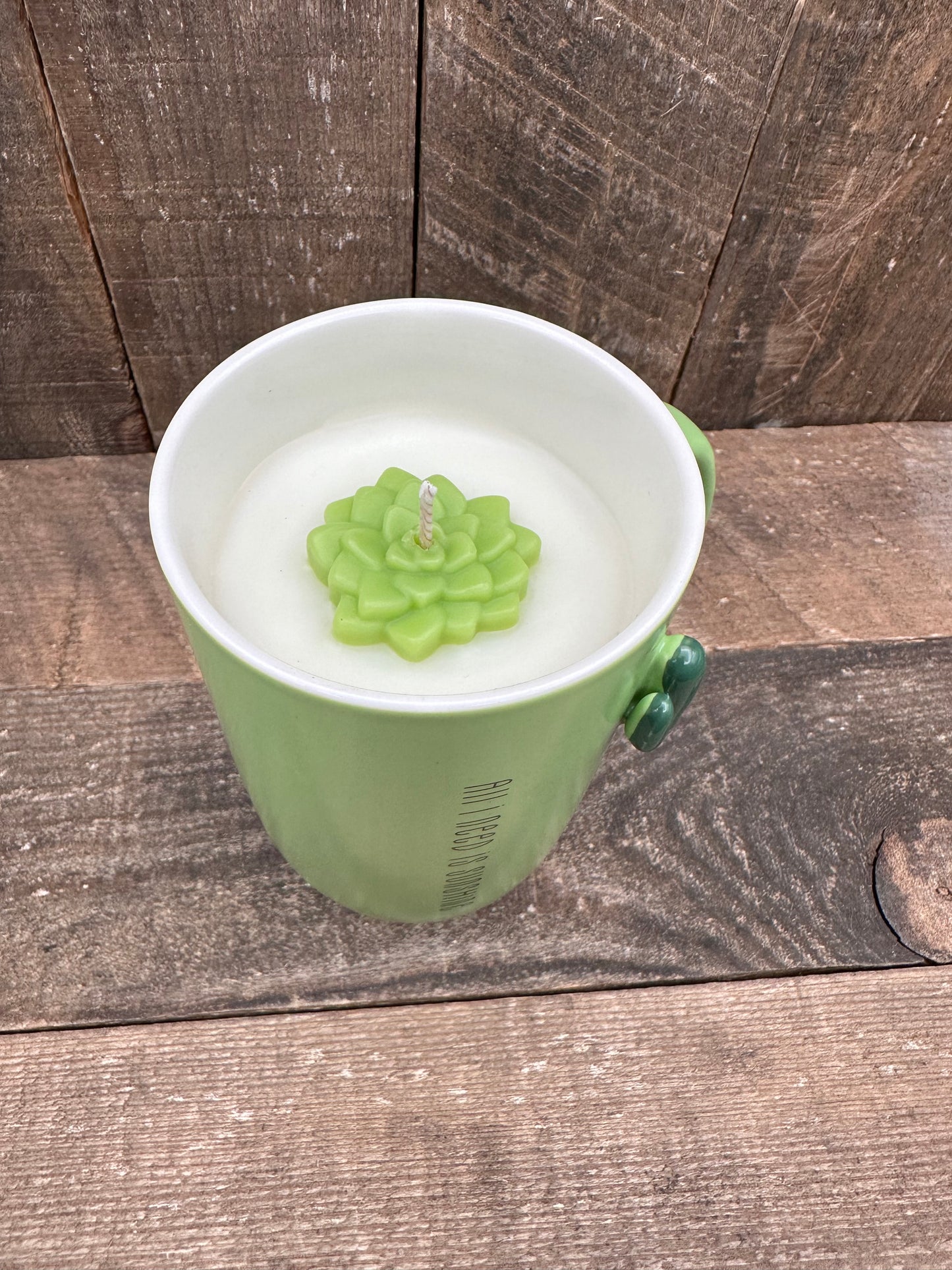 Cactus All I Need Is Sunshine Reclaimed Coffee mug candle