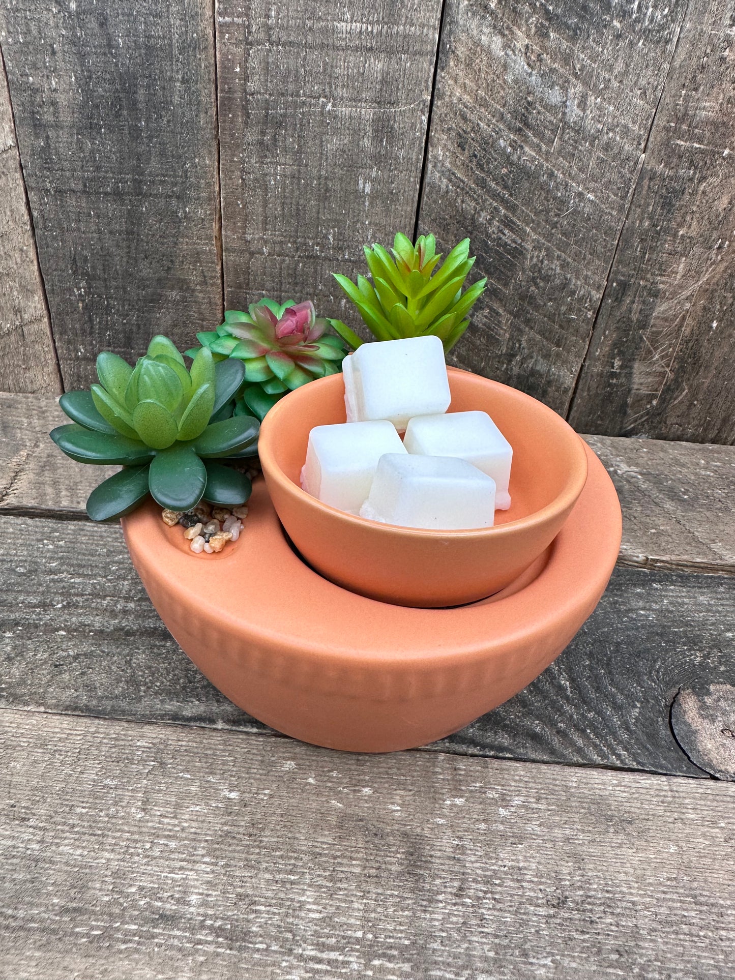 Large Succulent Wax Melter Essential Oil Warmer Candle Hot Plate