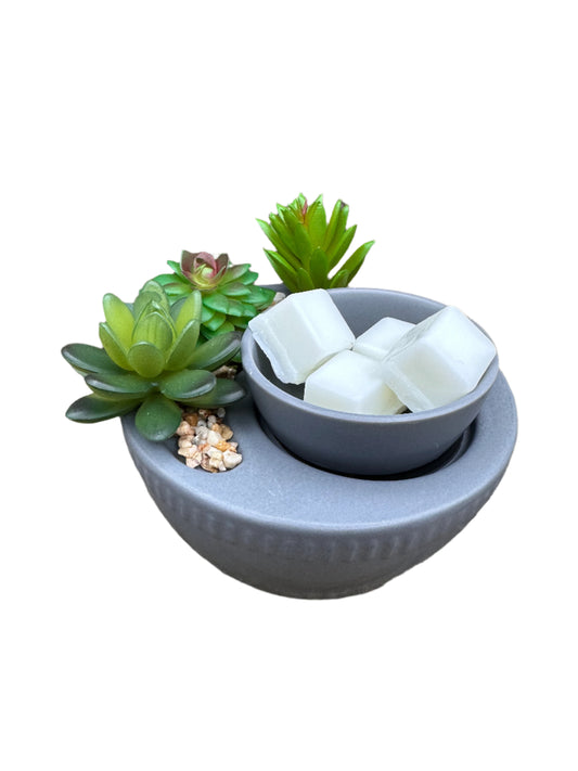 Large Succulent Wax Melter Essential Oil Warmer Candle Hot Plate