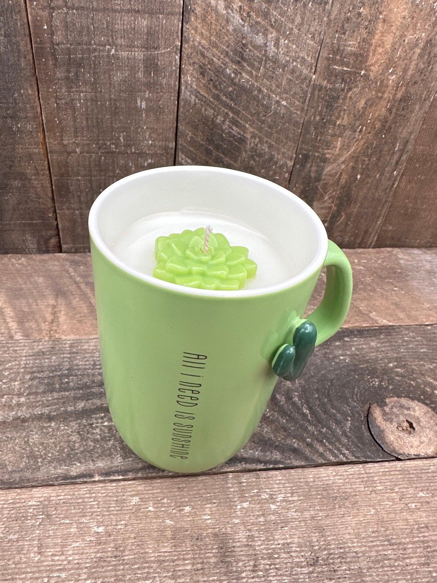 Cactus All I Need Is Sunshine Reclaimed Coffee mug candle