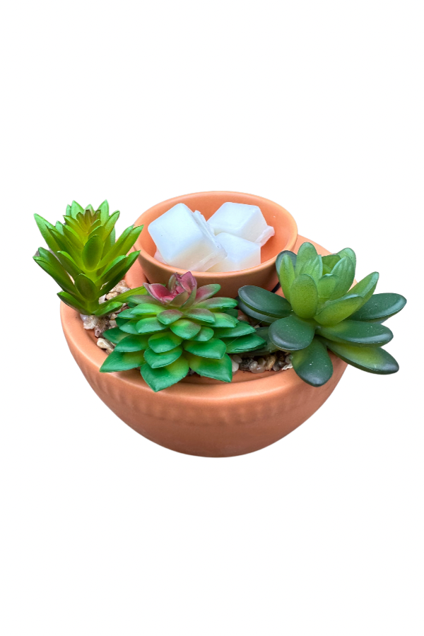 Large Succulent Wax Melter Essential Oil Warmer Candle Hot Plate