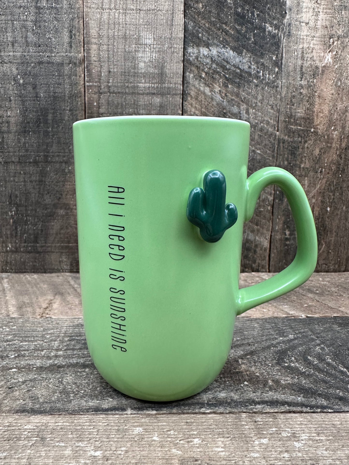 Cactus All I Need Is Sunshine Reclaimed Coffee mug candle