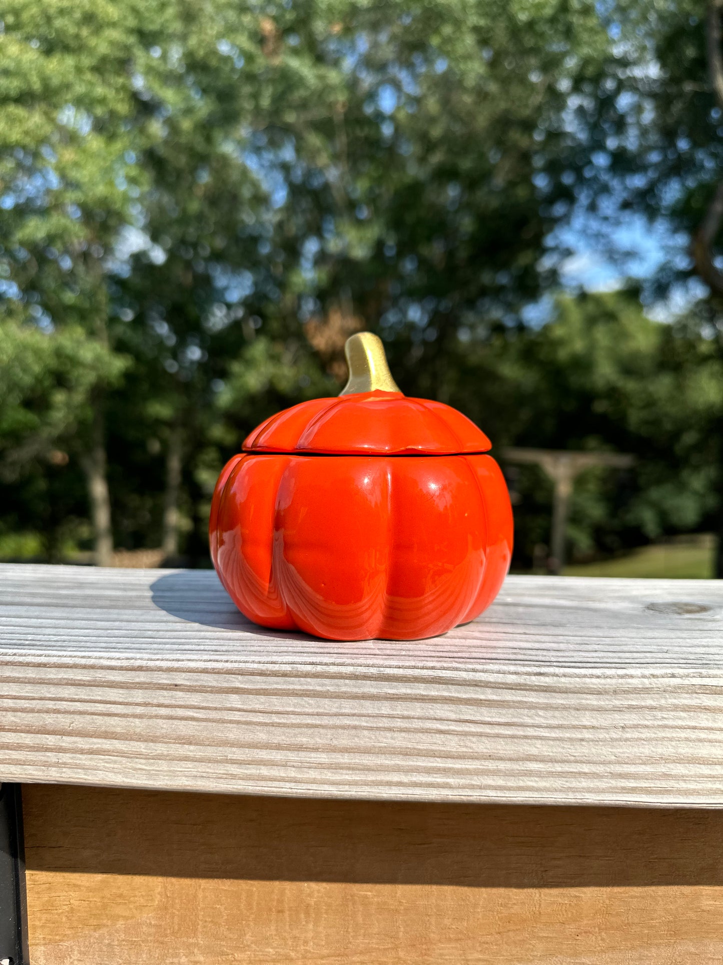 Small Orange Pumpkin Fall Halloween 9 ounce Candle