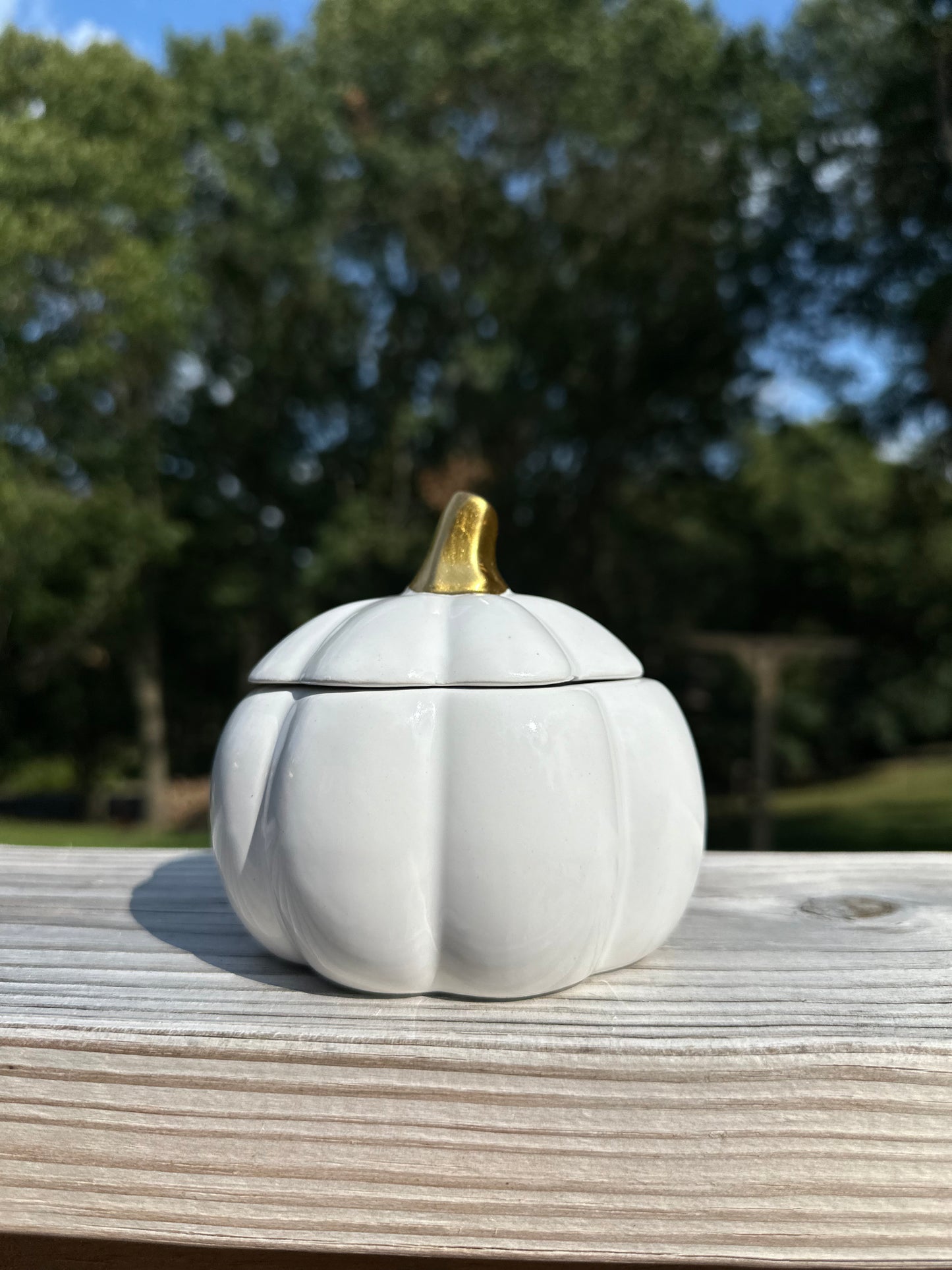 Small White Pumpkin Fall Halloween 9 ounce Candle