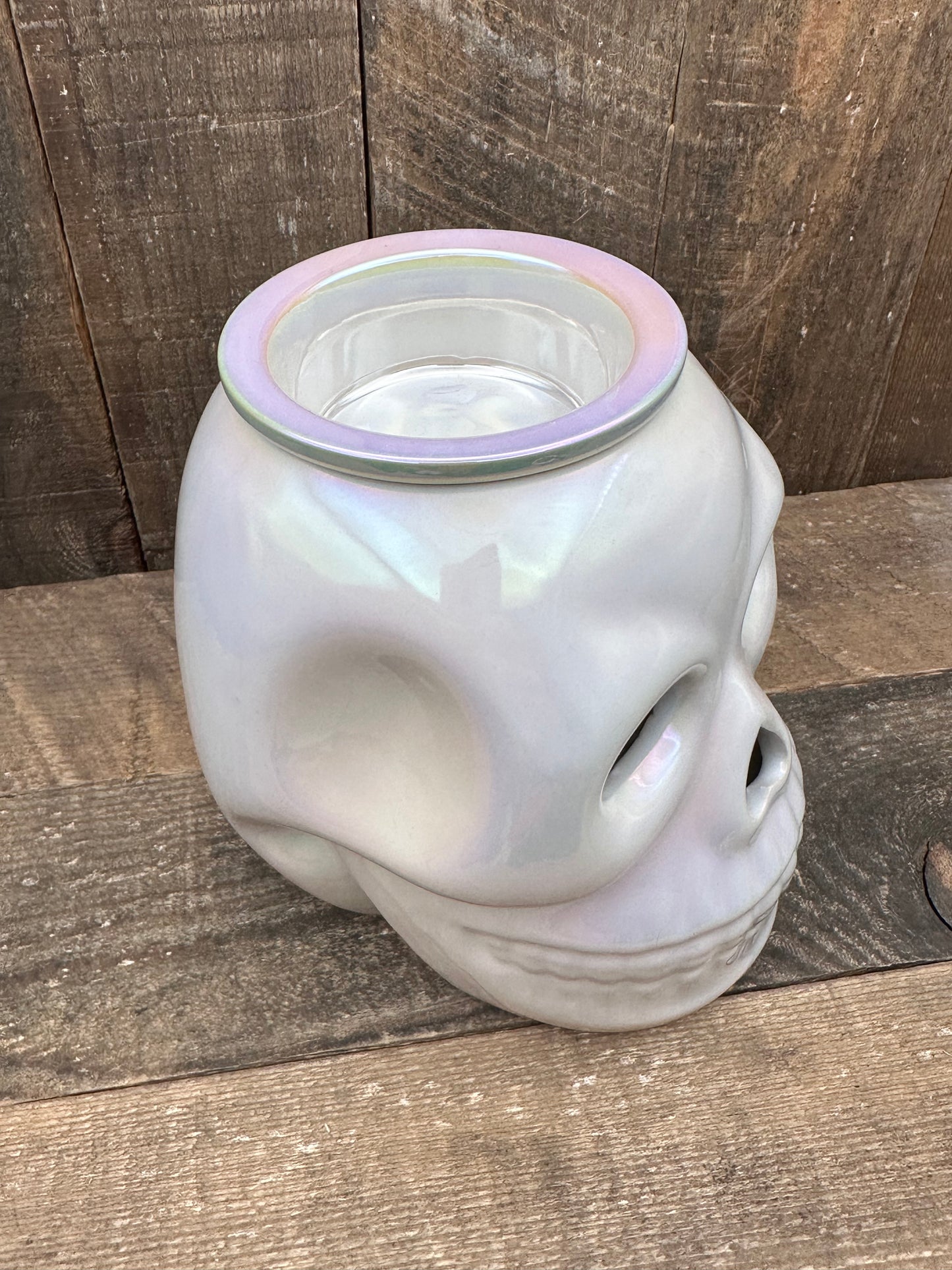 Skull Iridescent Wax Melter Fall Halloween Essential Oil Warmer Spooky