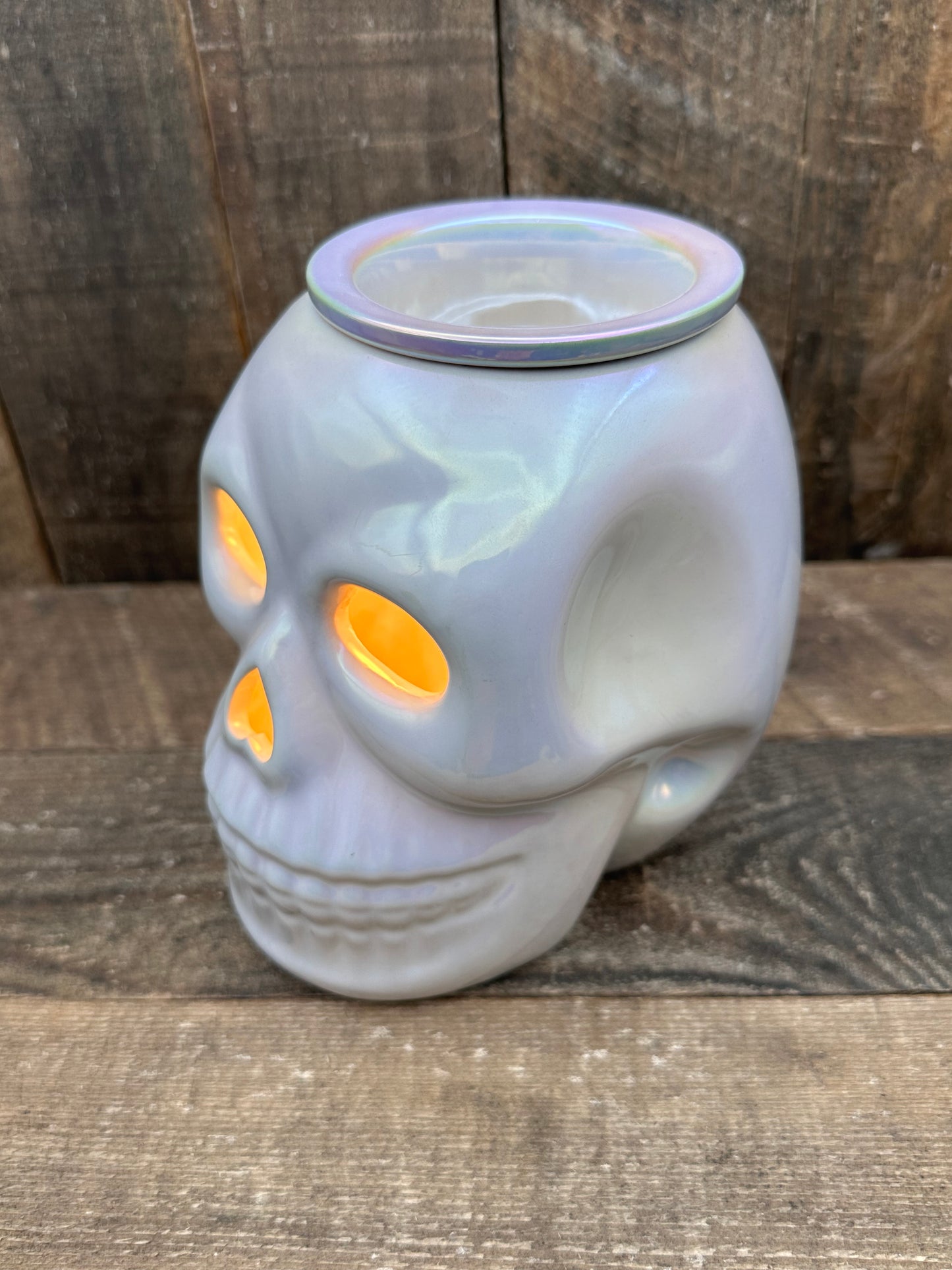 Skull Iridescent Wax Melter Fall Halloween Essential Oil Warmer Spooky