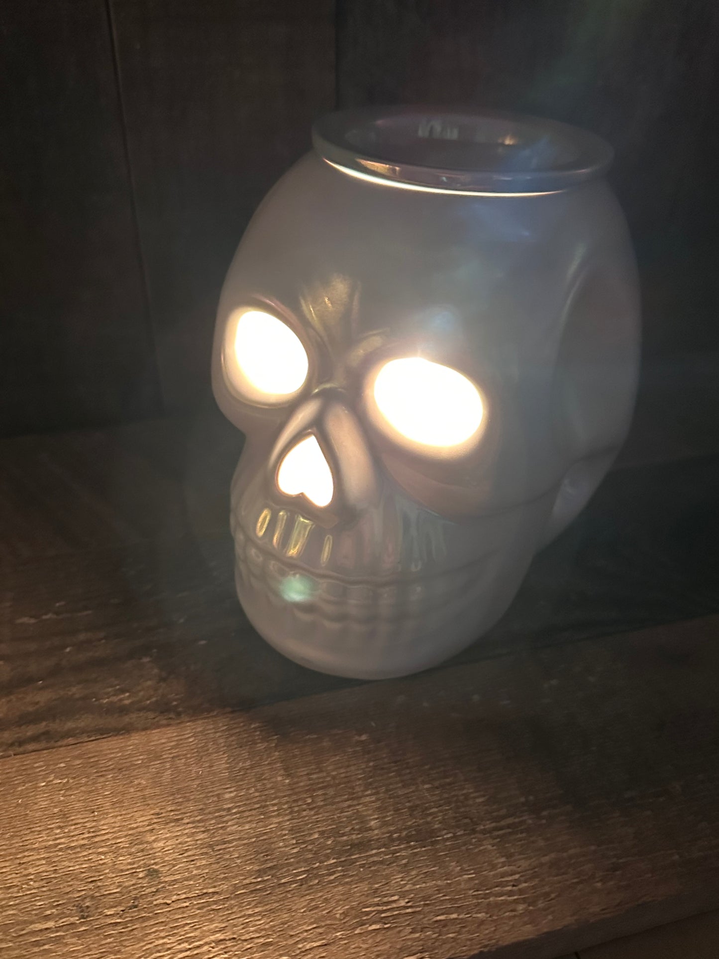 Skull Iridescent Wax Melter Fall Halloween Essential Oil Warmer Spooky